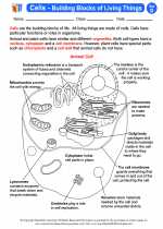 Cells The Building Blocks Of Living Things Fourth Grade Science