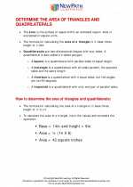 Mathematics - Sixth Grade - Study Guide: Area of Triangles and Quadrilaterals
