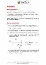 Mathematics - Sixth Grade - Study Guide: Perimeter