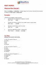 English Language Arts - Third Grade - Study Guide: Root Words/Prefixes/Suffixes
