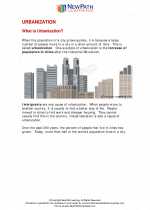Social Studies - Sixth Grade - Study Guide: Urbanization