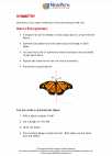 Mathematics - Third Grade - Study Guide: Symmetry