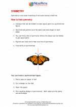 Mathematics - Third Grade - Study Guide: Symmetry