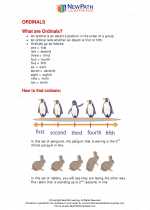 Mathematics - First Grade - Study Guide: Ordinals