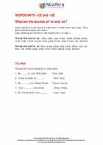 English Language Arts - First Grade - Study Guide: Words with -ce and -se