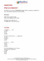 English Language Arts - Third Grade - Study Guide: Adjectives/Adverbs/Vivid Language