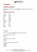 English Language Arts - Third Grade - Study Guide: Antonyms