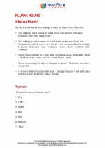 English Language Arts - Second Grade - Study Guide: Plural Nouns