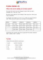 English Language Arts - Second Grade - Study Guide: Plural Ending ‚Äìes