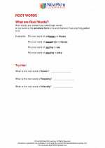 English Language Arts - Second Grade - Study Guide: Root Words