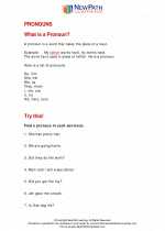 English Language Arts - First Grade - Study Guide: Pronouns