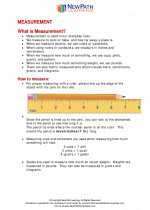 Mathematics - First Grade - Study Guide: Measurement