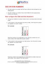 Mathematics - Third Grade - Study Guide: Odd/Even Numbers