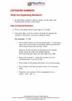 Mathematics - Third Grade - Study Guide: Expanding Numbers