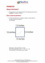 Mathematics - Third Grade - Study Guide: Perimeter
