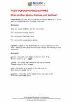 English Language Arts - Fourth Grade - Study Guide: Roots/Prefixes/Suffixes
