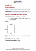Mathematics - Fifth Grade - Study Guide: Perimeter