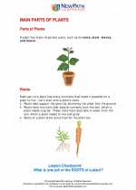 main parts of plants third grade science worksheets and