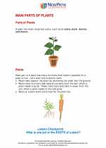 main parts of plants third grade science worksheets and study guides