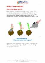 Science - Third Grade - Study Guide: How do plants grow?