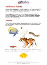 Science - Third Grade - Study Guide: Grouping of Animals