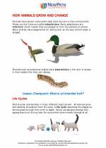 Science - Third Grade - Study Guide: How animals grow and change and live