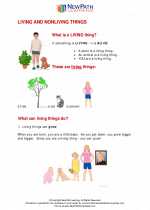 Science - First Grade - Study Guide: Living and nonliving things
