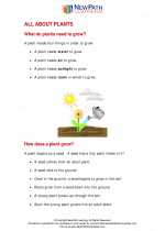 Science - First Grade - Study Guide: All about plants