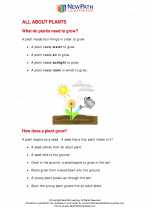 all about plants first grade science worksheets and answer keys study guides and vocabulary sets