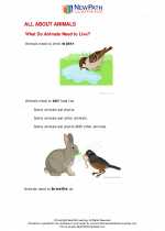 Science - First Grade - Study Guide: All about animals