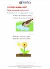 Science - First Grade - Study Guide: Where do animals live?