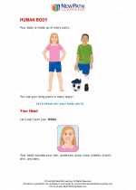 Science - First Grade - Study Guide: Human body