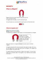 Science - First Grade - Study Guide: Magnets