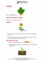 plants second grade science worksheets and answer keys study guides and vocabulary sets