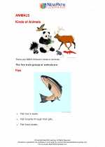 Science - Second Grade - Study Guide: Animals