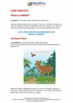 Science - Second Grade - Study Guide: Land Habitats