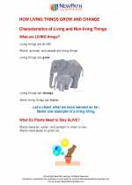 Science - Second Grade - Study Guide: How living things grow and change?