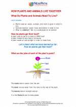 Science - Second Grade - Study Guide: How do plants and animals live together?