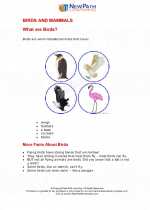 Science - Second Grade - Study Guide: Mammals and birds