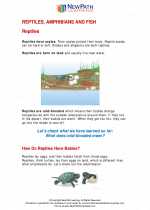 Science - Second Grade - Study Guide: Reptiles, amphibians and fish