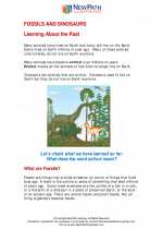 Science - Second Grade - Study Guide: Fossils and dinosaurs