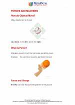 Science - Second Grade - Study Guide: Objects in motion