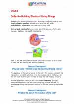 Cells- The building blocks of living things. Fourth Grade Science