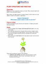 Science - Fourth Grade - Study Guide: Plant Structure and function