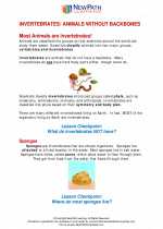 Science - Fourth Grade - Study Guide: Invertebrates - Animals  without Backbones