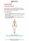 Science - Fourth Grade - Study Guide: Organ systems