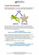Science - Fourth Grade - Study Guide: Classifying organisms
