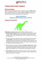 Science - Fourth Grade - Study Guide: Fossils and extinct animals
