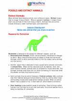 Science - Fourth Grade - Study Guide: Fossils and extinct animals