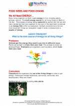 Science - Fourth Grade - Study Guide: Food webs/food chains